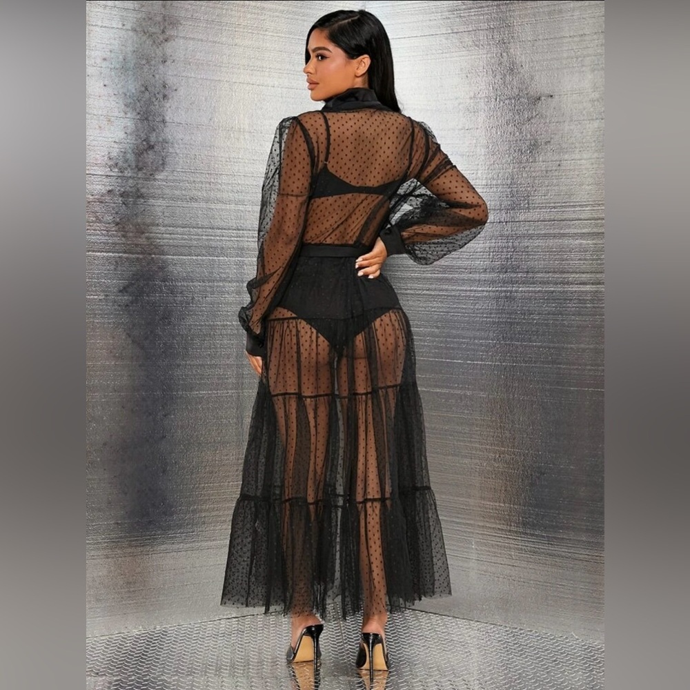 Mesh Belted Dress - Picture 2 of 6